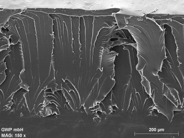 REM Aufnahme Bruchfläche_thermoplastisches Elastomer_Zugversuch