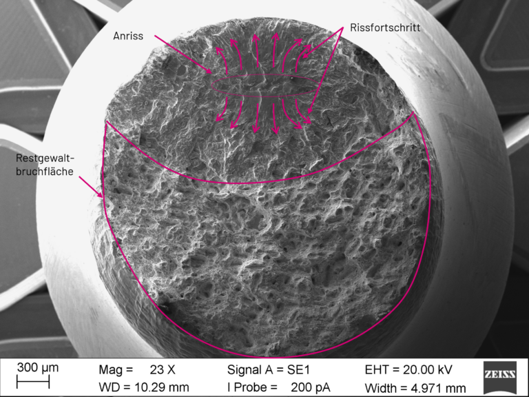 Rasterelektronenmikroskopie analysierte Bruchfläche Ermüdungsbruch